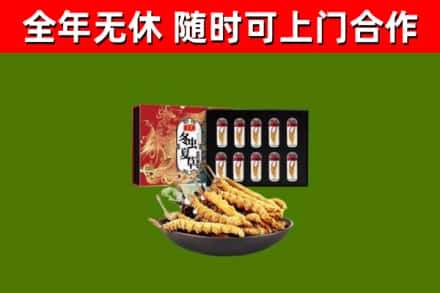 江山市回收冬虫夏草价格