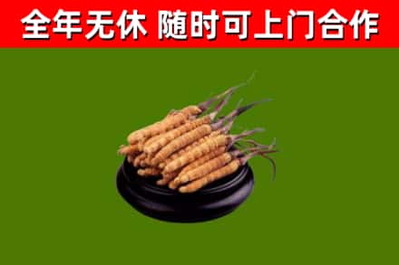 江山市烟酒回收冬虫夏草.jpg